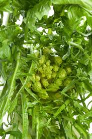 Ti è piaciuta questa ricetta? Come Cucinare Le Puntarelle 10 Ricette Buonissime