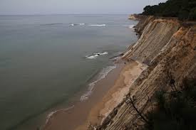 Bowling Ball Beach Point Arena Ca California Beaches