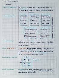 Color Coding Notes 101 By Aca Demia Color Coding Notes Study Notes School Organization Notes