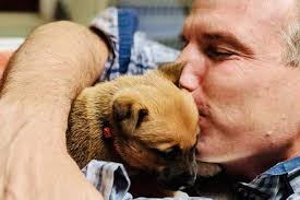 Pet care / pet services / pet services in solana beach, ca / academy animal hospital. Veterinarian In Solana Beach Ca 92075 Academy Animal Hospital