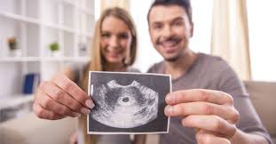 The scan ensures everything is fine with you and baby by: When Can You See Baby S Heartbeat On Ultrasound Bellybelly