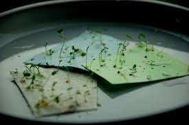 5 Ideas For Eco Friendly Marketing With Seed Paper Seed Paper Plantable Seed Paper Plantable Paper