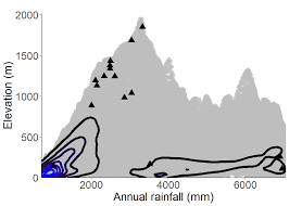 Image result for Strephonema