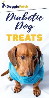We did not find results for: The Best Diabetic Dog Treats For Diabetic Dogs 2021 Diabetic Dog Dog Treats Dog Beer