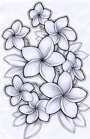 Template Plumeria Tattoo Hawaiian Flower Drawing Flower Drawing