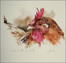 Pin By Candan Yoruk On Kury Watercolor Rooster Bird Watercolor Paintings Chicken Painting
