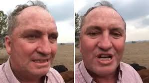 Barnaby Joyce shares bizarre Christmas message