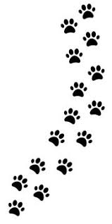 Kennst du diese tierspuren bekannter tiere im wald? Tierspuren Photos Royalty Free Images Graphics Vectors Videos Adobe Stock