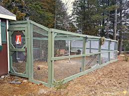 Remember, chicken wire is just to keep chickens in, it is not strong enough to keep predators out mice & snakes can both fit through chicken wire at almost any height. How To Build A Predator Proof Chicken Run Fresh Eggs Daily