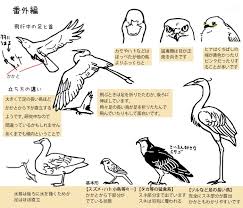 鳥やタカを描いてみよう 12 鳥 マンガ 漫画