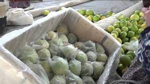 anadolu ajansi limon yataga girdi youtube