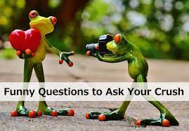 At the end of which, he said, hey, we are getting on. 100 Funny Questions To Ask Your Crush Pairedlife