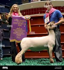 Jerry Bates III shows his Grand Champion lamb during auction at the Fort  Worth Stock Show and Rodeo in Fort Worth, Texas, Saturday, Feb. 4, 2017.  The lamb sold for $40,000 to "
