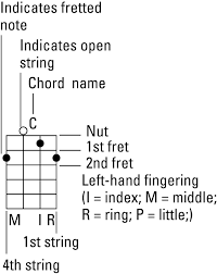 Banjo For Dummies Cheat Sheet Dummies