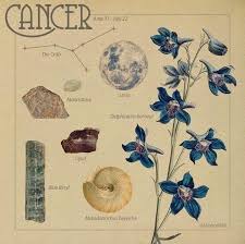 They are sweet, loving, and extremely nurturing by nature, and have that hint of melancholy in their expressions. Cancer Zodiac Sign Discovered By Mia On We Heart It