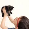 Story image for Best Pet Supplies Cat Supplies Cat Litter Boxes For Sale from Romper