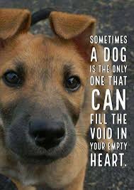 Because People Just Hurt You Dog Quotes Funny Dog Quotes Inspirational Dog Quotes