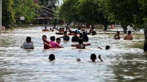 Yang dimaksud pppk atau p3k menurut pp 49 tahun 2018 adalah warga negara indonesia yang memenuhi syarat tertentu. Demi Keamanan Akibat Banjir 330 Gardu Listrik Di Aceh Utara Dipadamkan Bagian 1