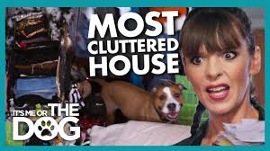 Video: Family Dog is Stressed in a House Full of Clutter