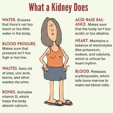 Pin By Samantha Lowman On Rn Notes Nursing Students Dialysis Nurse Nurse