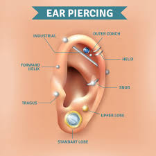 ear piercing types positions background poster vector free