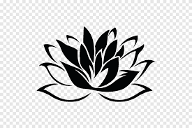 Check spelling or type a new query. Menggambar Lukisan Bunga Teratai Suci Bunga Daun Monokrom Png Pngegg
