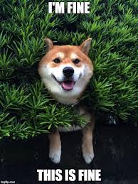 Image result for Im fine meme