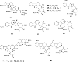 Image result for Dissotis longisepala