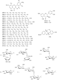 Image result for Artabotrys monteiroae