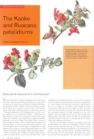 Image result for Petalidium bracteatum