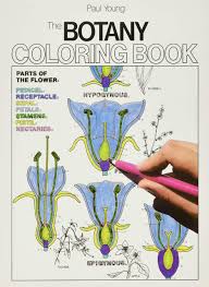 Make a fun coloring book out of family photos wi. Amazon Com The Botany Coloring Book 9780064603027 Paul Young Jacquelyn Giuffre Books