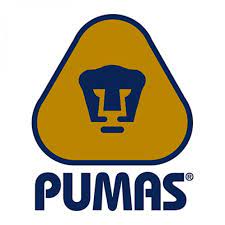 It is organised by the argentine rugby unio. Logo De Los Puma Novocom Top