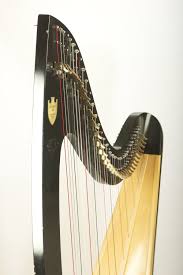 If you want to try this solution, start by playing for short periods of time, and pay attention to how your body. Harp Recommendations Erin Freund