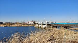 手賀沼自然ふれあい緑道」の手賀曙橋駐車場周辺で「全国造園フェスティバル2022」が10月22日に開催 : 柏の葉サイクルライフ