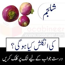 Vegetables Name In Urdu And English With Pictures Name Of Vegetables Vegetables Names With Pictures Vegetables