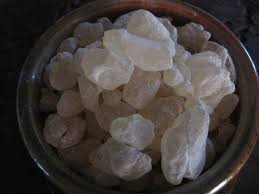 Image result for Dipterocarpaceae