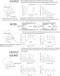 voice acoustics an introduction to the science of speech