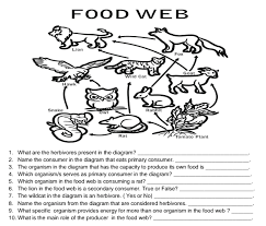 Is A Rabbit A Consumer? A Detailed Look At Rabbit Eating Habits - Berry  Patch Farms