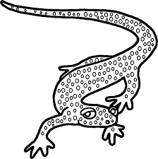 Amphibian Reptile Coloring Page Di 2020