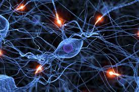 Du kommst also über den fluss, um mich zu nerven. Nerven Indikationen Neurolab