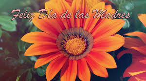 Girasoles feliz día de la madre. Feliz Dia De Las Madres Wallpapers Wallpaper Cave
