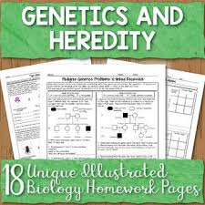 Genetics Unit Homework Worksheet Bundle Genetics High School Biology Matter Science