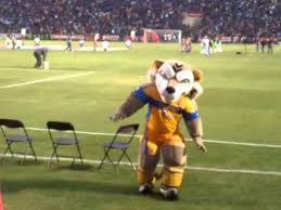 The results can be sorted by competition, which means that only the stats for the selected competition will be displayed. Mascota De Los Tigres Youtube