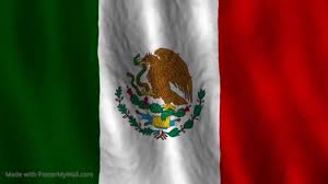 In this photo illustration a medical syringe and the flag of mexico in the background. Mexican Flag Zoom Virtual Background Video Virtual Background Zoom Virtual Background Zoom Virtual Background Video