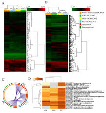Oncotarget Identification Of A Gene Signature For