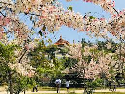 The site owner hides the web page description. å°å—èŠ±æµ·æµªæ¼«æ™¯é»žå ±ä½ çŸ¥ å°å—æ—…éŠç¶²