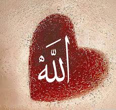 Verily she is the wife of your prophet (sallallahu alyhi wasallam) in this world and the next. she left on saturday the first of rajab, in the year 36 ah. Imam Ali A S Islam Guidance