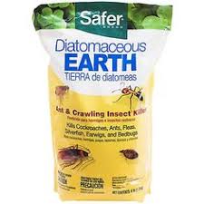 Western pest can help with silverfish control & removal in ct, ny, nj, pa & de. 10 Pests Ideas Bed Bugs Pests Pest Control