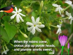 If you are looking for a nature haiku, here is an example: Write A Haiku Lesson Plan Creative Educator