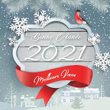 Meilleurs vœux en cette nouvelle année 2021 ! Carte De Voeux Publicitaire Pinson 2021
